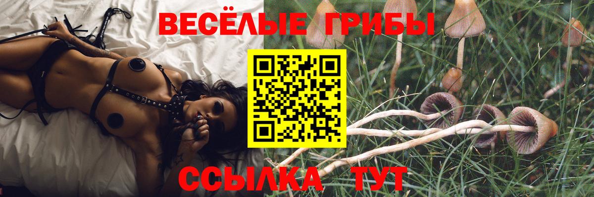 Галлюциногенные грибы ЛСД  Вход с VPN  Приморско-Ахтарск  Псилоцибиновые грибы Psilocybe 