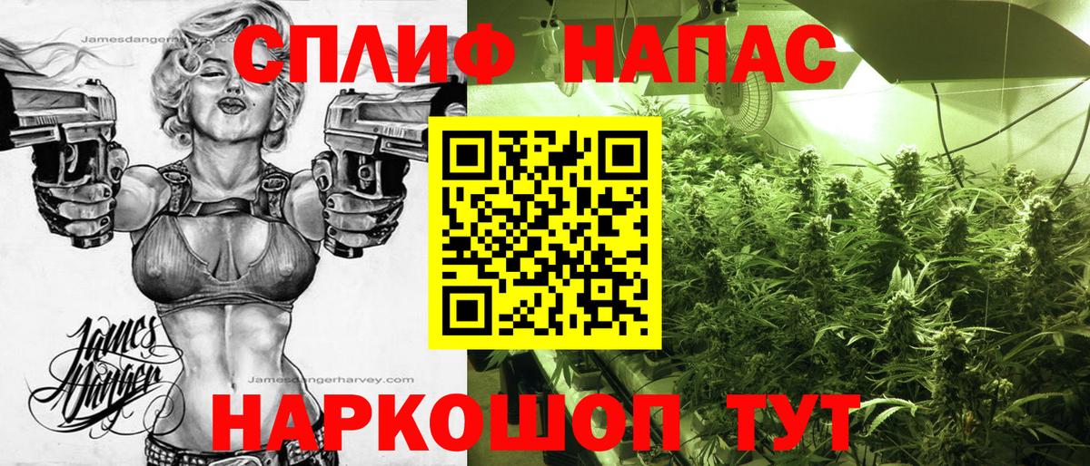 Каннабис MAZAR Приморско-Ахтарск